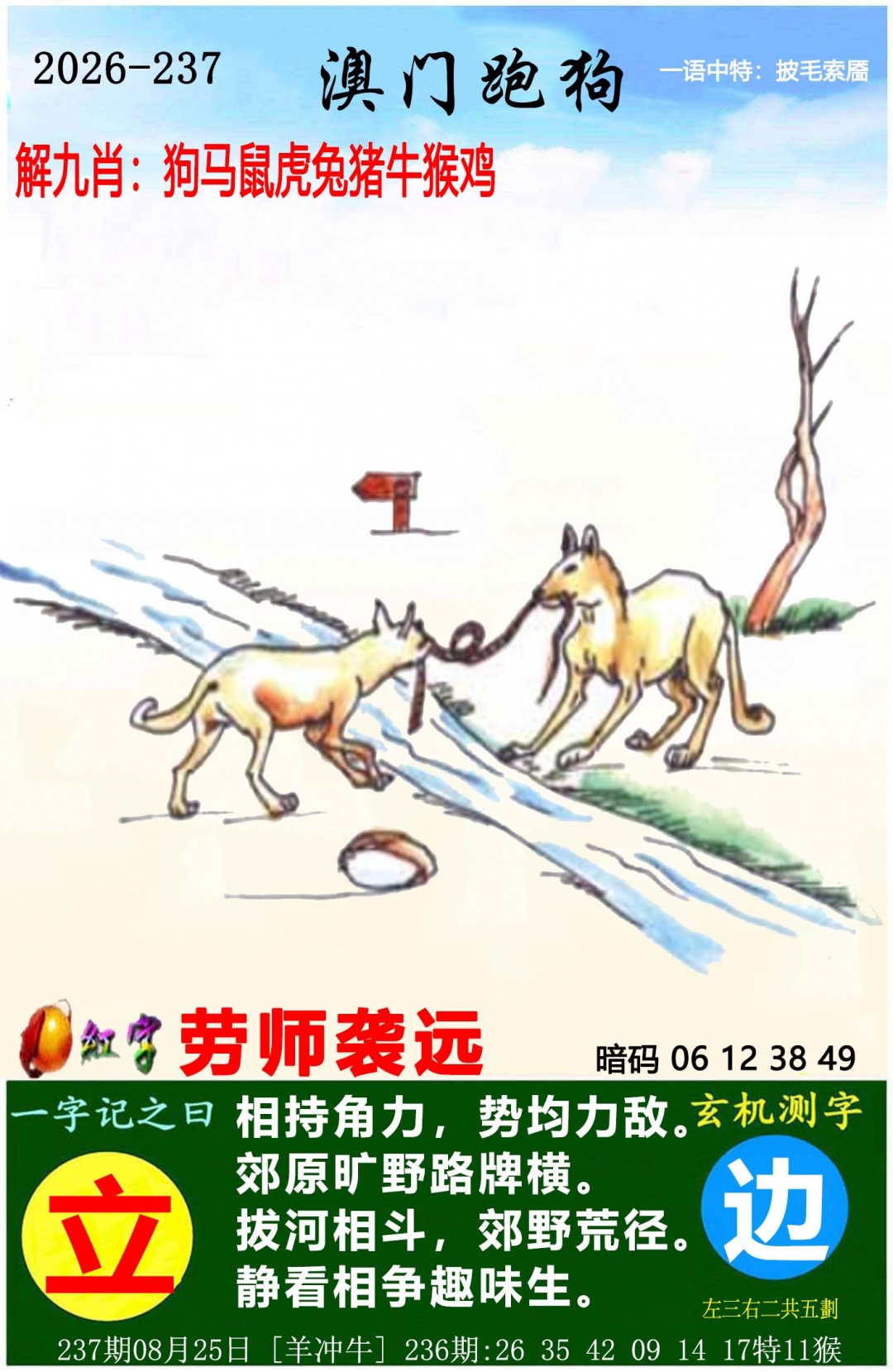 点击图片放大