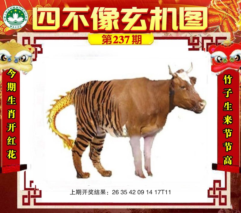 点击图片放大